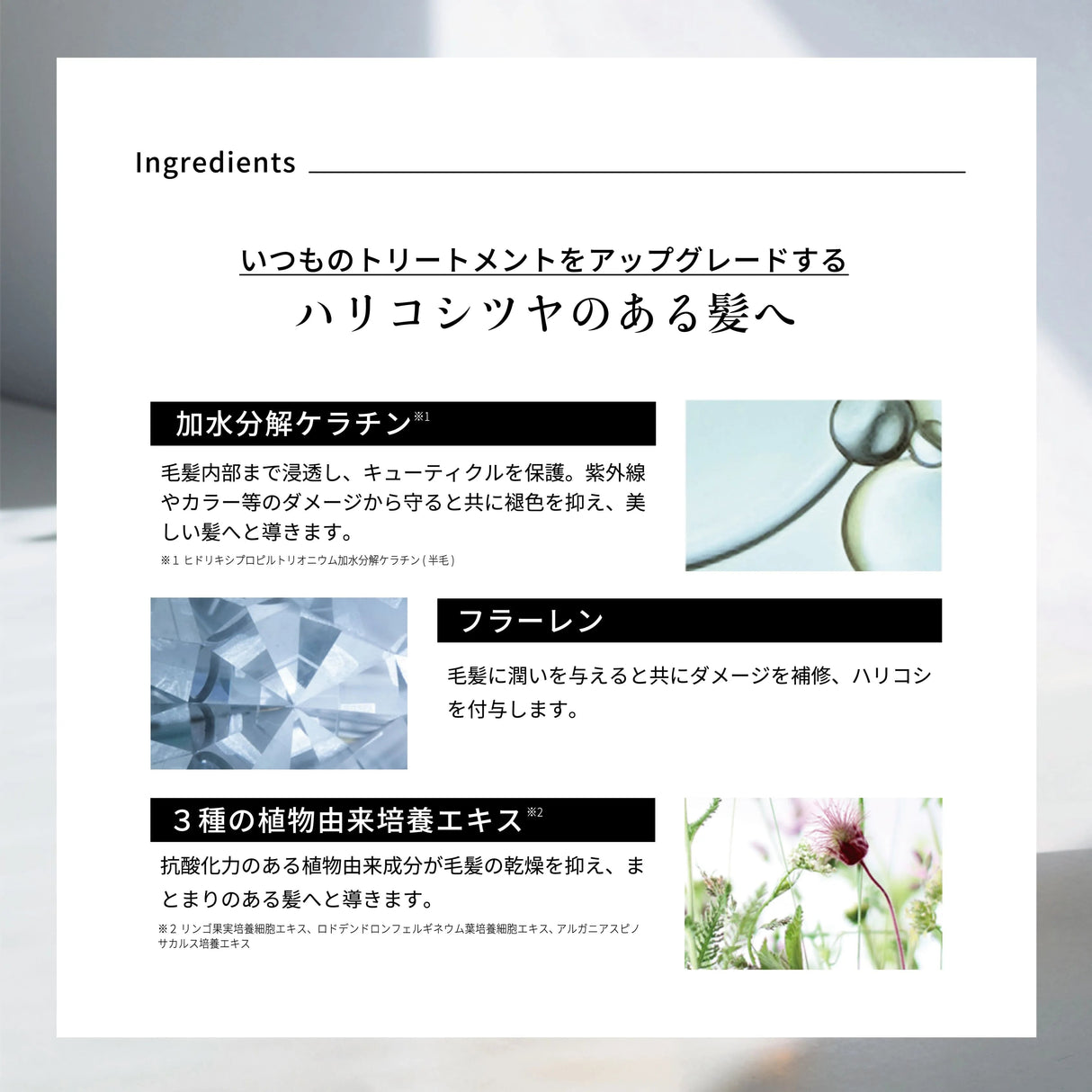 エマコッカーナ トリートメントプラス 100ml / 500ml|Emma Cocarne