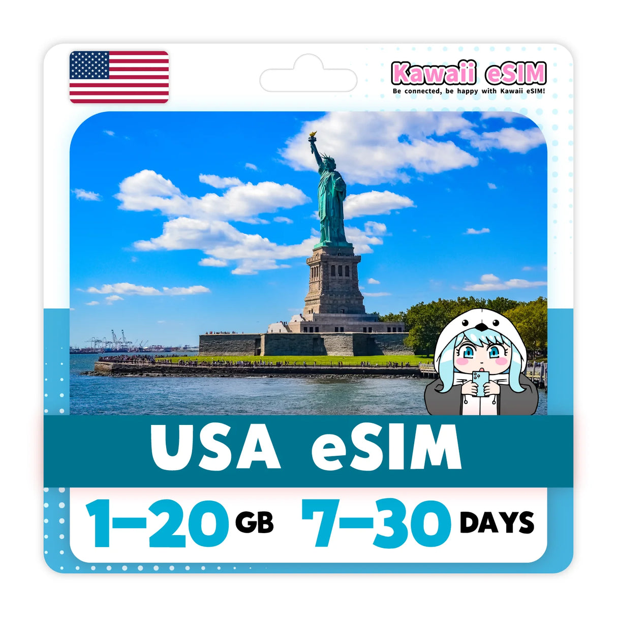 USA eSIM