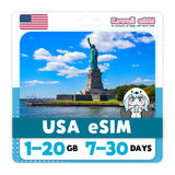USA eSIM
