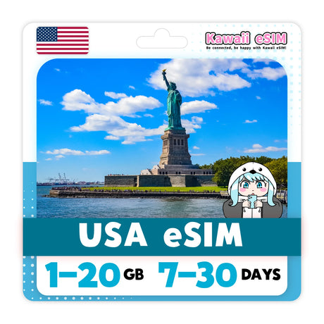 USA eSIM