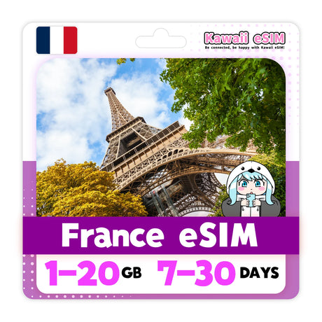 France eSIM