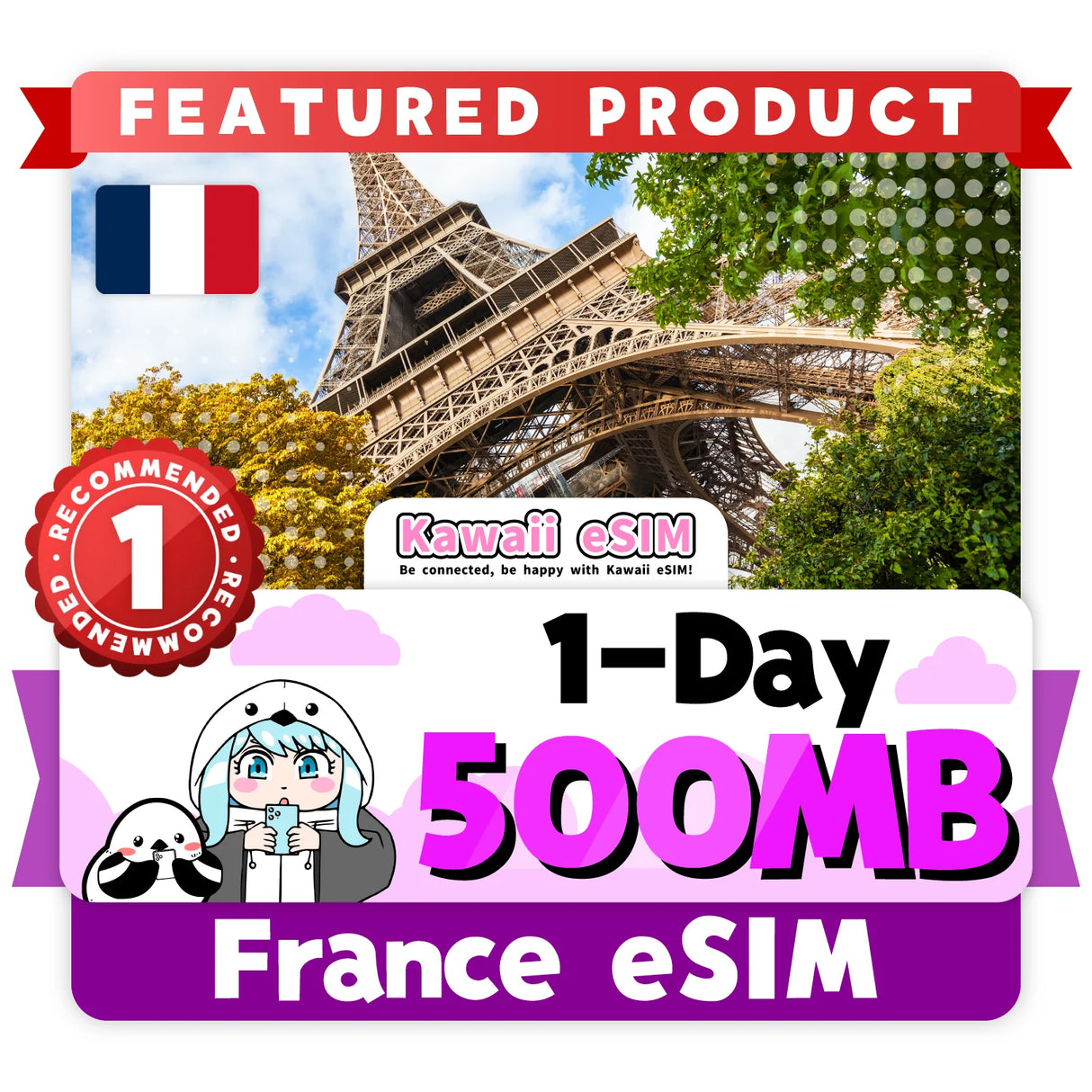 France eSIM